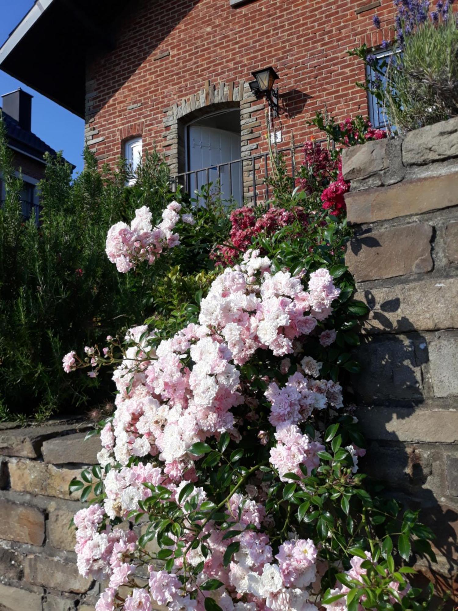 Bed Vue Sur Vallee De La Meuse Namur Bouge 部屋 写真